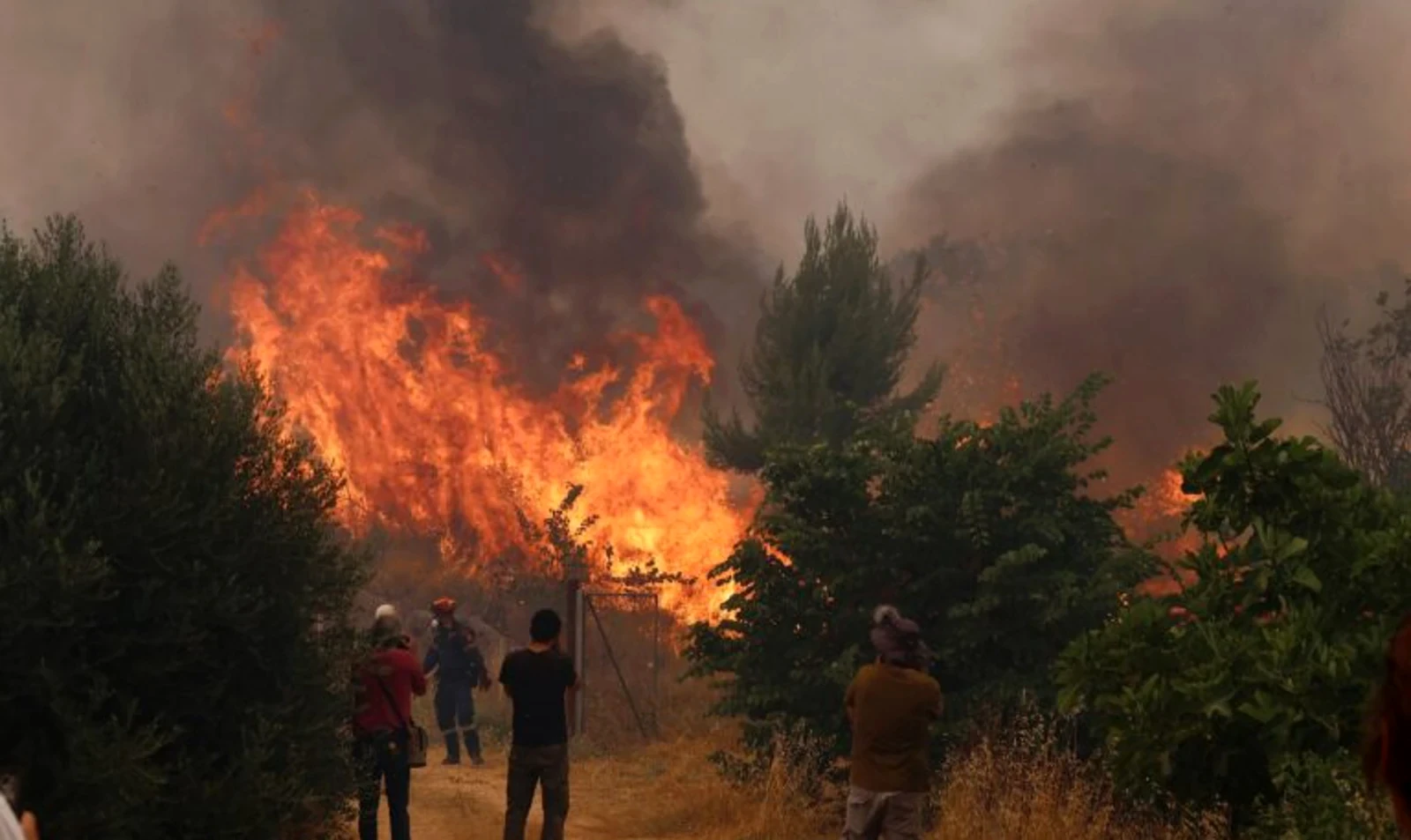 Σε πλήρη ετοιμότητα η Πυροσβεστική στην Ψάθα: Φόβοι για μια πιθανή αναζωπύρωση της πυρκαγιάς