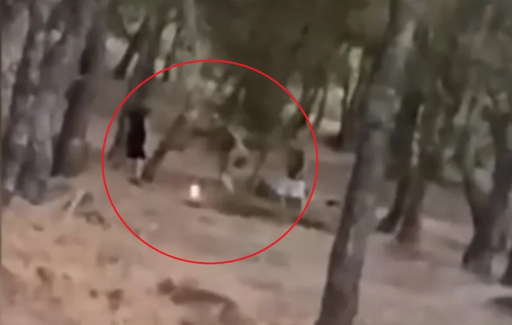 Σάλος με ασυνείδητους ανήλικους στα Βριλήσσια: ‘Εβαλαν φωτιά σε ξερά χόρτα δάσους! (βίντεο)