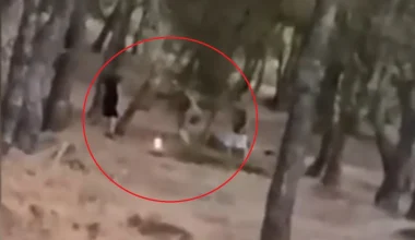 Σάλος με ασυνείδητους ανήλικους στα Βριλήσσια: ‘Εβαλαν φωτιά σε ξερά χόρτα δάσους! (βίντεο)