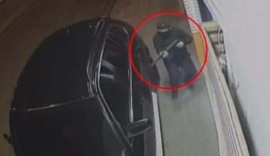 Οι «Πίτμπουλ» και «Μπουλντόγκ» του «Έντικ» – Η σκληρή ομάδα που σκόρπιζε φόβο στους επιχειρηματίες