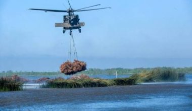 36 χρόνια πετούν χιλιάδες χριστουγεννιάτικα δέντρα από ελικόπτερα – Η απρόσμενη χρήση τους (βίντεο)