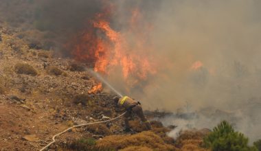 Συνελήφθη 86χρονος στο Μαρούσι που προκάλεσε το ξέσπασμα πυρκαγιάς: Έψηνε κοντά σε ξερά χόρτα