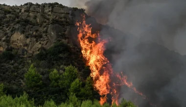Από το δίκτυο ηλεκτροδότησης ξεκίνησε η φωτιά στον Κουβαρά Αττικής