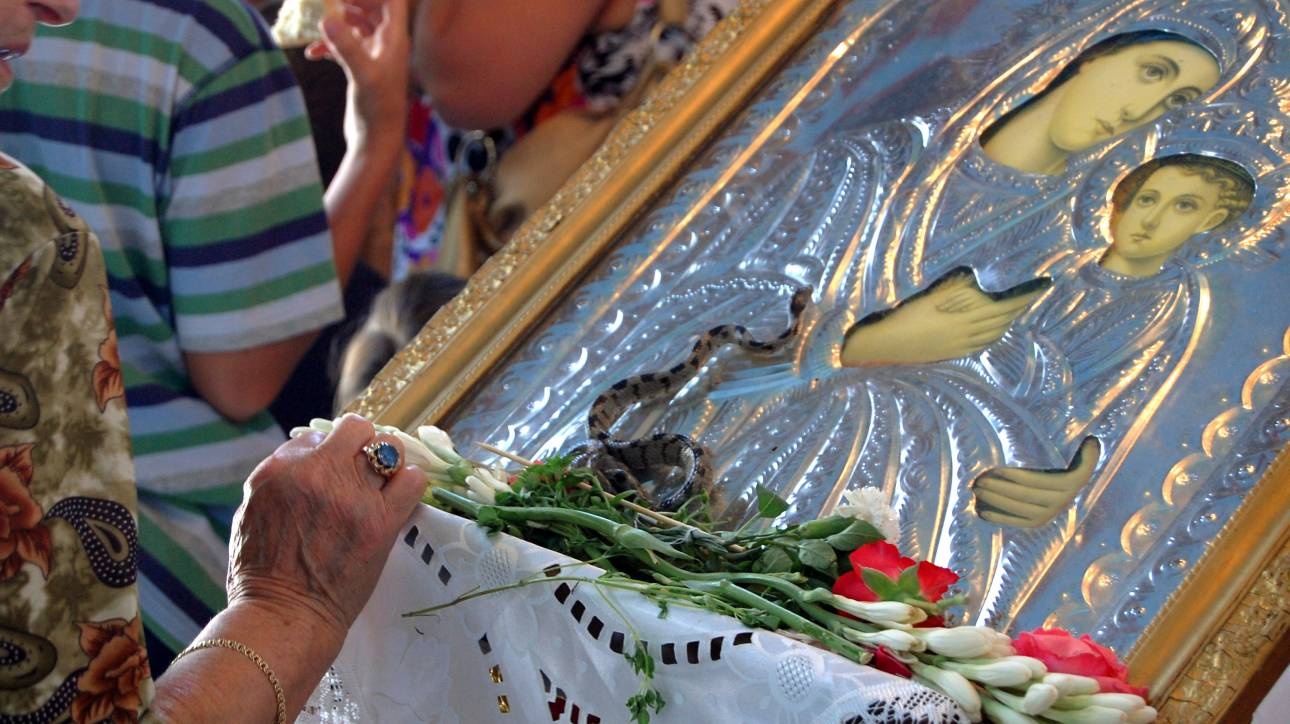 Το θαύμα με τα φιδάκια της Παναγίας: Η παράδοση που επαναλαμβάνεται κάθε Αύγουστο