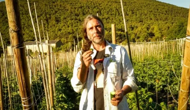 Του έδωσαν 700.000 ευρώ για 10 στρέμματα και είπε «όχι» – «Θα αφήσω κληρονομιά στην ανθρωπότητα» (βίντεο)