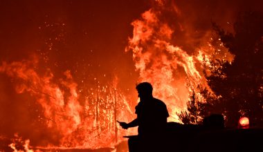 Τρεις συλλήψεις για πυρκαγιές από αμέλεια σε Αργολίδα, Πέραμα και Ροδόπη