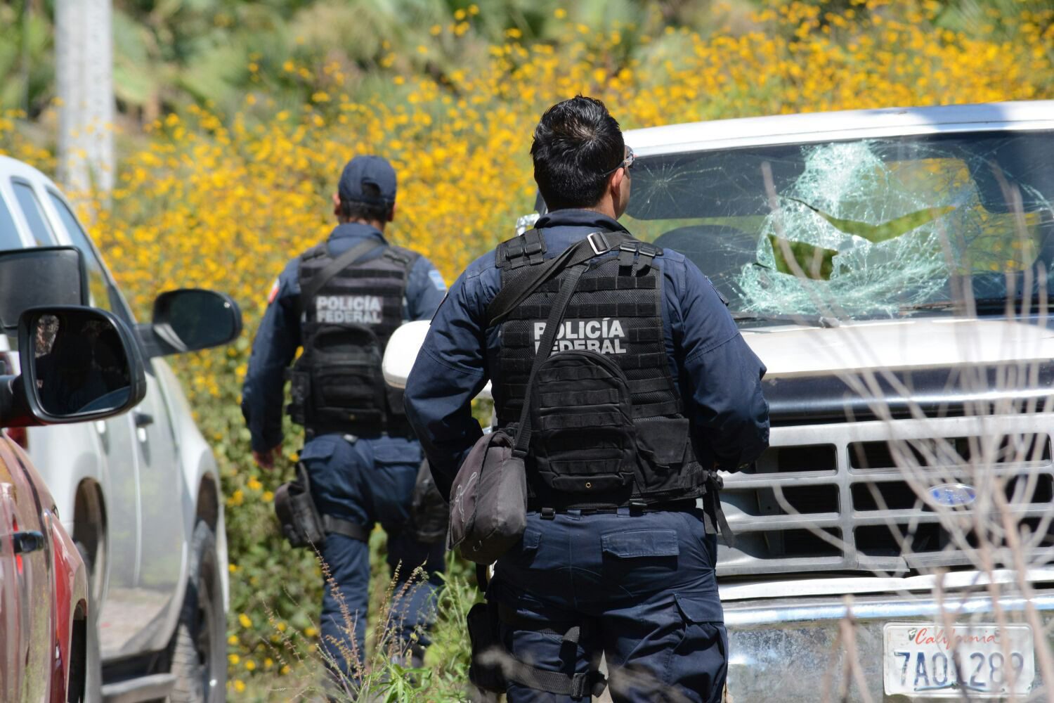 Μεξικό: Όχημα έπεσε πάνω σε πλήθος κόσμου σε φεστιβάλ – Τουλάχιστον 15 τραυματίες (βίντεο)