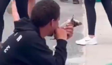 Νοτιοαφρικάνος μασάει το πόδι νεκρού αρουραίου: «Αυτούς θέλετε να φέρετε στη χώρα μας» λένε οι Ισπανοί (βίντεο)