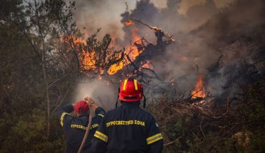 Φωτιά στη Σίβηρη από καλώδια ΔΕΔΔΗΕ: Το κατ’ εξακολούθηση έγκλημα για το οποίο η κυβέρνηση δεν κάνει τίποτα