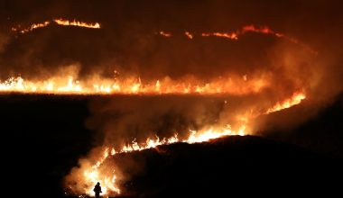 Πρωτοφανής αριθμός πυρκαγιών στη Βρετανία – Εκατοντάδες εκκενώσεις λόγω απουσίας του κρατικού συντονισμού