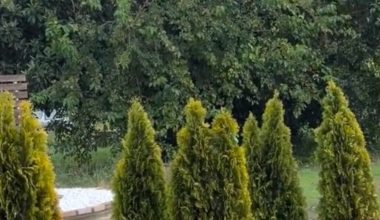 Κέρκυρα: Αυγουστιάτικο χαλάζι λίγες ώρες πριν τον Δεκαπενταύγουστο
