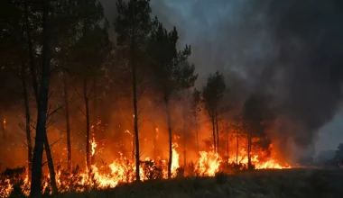 Γαλλία: Eκατοντάδες συλλήψεις για τις πυρκαγιές που ξέσπασαν στην χώρα το καλοκαίρι