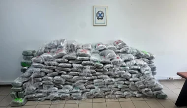 324 κιλά κάνναβης κρυμμένα σε φορτίο ανακύκλωσης – Η διεθνική εγκληματική οργάνωση