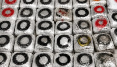 Συνελήφθη 57χρονος στη Θεσσαλονίκη που έκρυβε στο σπίτι του πάνω από 45 κιλά κάνναβης (φωτογραφίες)