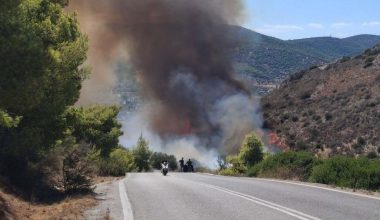 Σαλαμίνα: Δυο μεγάλες και ταυτόχρονες φωτιές σε Περιστέρια και Σελήνια