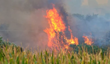Καβάλα: Συνελήφθη 80χρονος για εμπρησμό από πρόθεση – Ομολόγησε την πράξη του