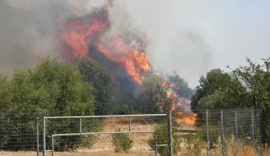 Χειροπέδες σε δύο άτομα για πρόκληση πυρκαγιών σε Τρίκαλα και Κάρυστο