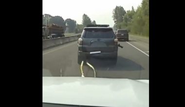 Περιπολικό «γραπώνει» το καταδιωκόμενο όχημα σαν τον… Μπάτμαν και το ακινητοποιεί (βίντεο)