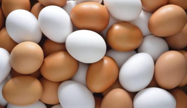 Επιδημία σαλμονέλας στη Βρετανία από εισαγόμενα αυγά: Toυλάχιστον 207 κρούσματα και ένας νεκρός
