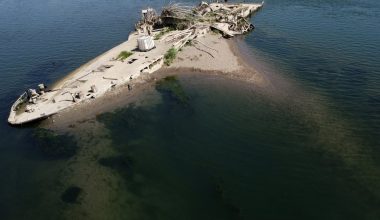 Σερβία: Η ξηρασία αποκάλυψε ναυάγιο 80 ετών στον ποταμό Σάβα – Η ιστορία του ατμόπλοιου «Slovenian» (φώτο)