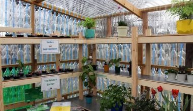Πάνω από 2.000 πλαστικά μπουκάλια έγιναν θερμοκήπιο – Η πρωτότυπη ιδέα μαθητών στην Αυστραλία