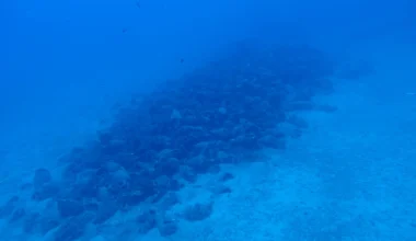 Ναυάγιο 2.400 ετών στην Άνδρο: «Ήταν ίσως η πιο σημαντική στιγμή στα 30 χρόνια που βρίσκομαι στη θάλασσα