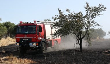 Αλλοδαπός επιχείρησε να βάλει φωτιά σε χαμηλή βλάστηση στη Λεωφόρο Σουνίου