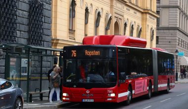 Σουηδία: H στιγμή που δύο επιβάτες ακινητοποιούν εν κινήσει λεωφορείο – Ο οδηγός έχασε τις αισθήσεις του (βίντεο)