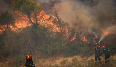 «Τσεκουράτο» πρόστιμο σε 42χρονο στην Εύβοια που έκαψε μισό στρέμμα οικοπεδικής έκτασης