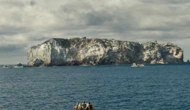 Νησί του Διαβόλου: Η σκοτεινή ιστορία της φυλακής-κολαστηρίου και ο θρυλικός «Πεταλούδας» (βίντεο)