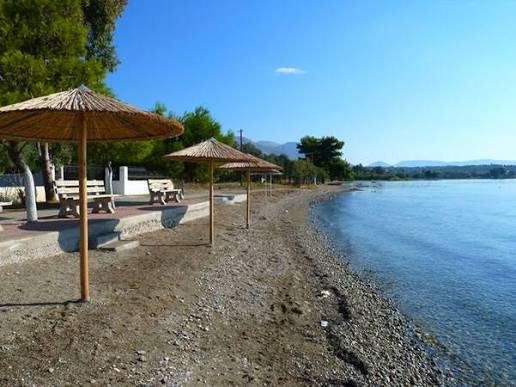 Χιλιάδες πόδια από κοτόπουλα και γαλοπούλες ξεβράστηκαν σε παραλία της Εύβοιας (φώτο)