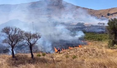 Λήμνος: Συνελήφθη ο αντιδήμαρχος Περιβάλλοντος και Καθαριότητας για την μεγάλη φωτιά
