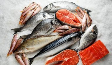Τα 5 ψάρια που αξίζει να βάζουμε συχνότερα στο πιάτο μας – Ποια χρειάζονται προσοχή