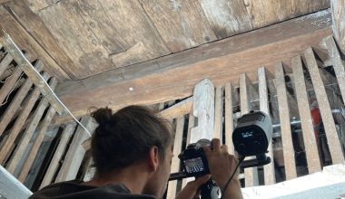 Γερμανία: Ανακαλύφθηκε μεσαιωνικό πλοίο του 1244 κρυμμένο στην οροφή ενός κελαριού