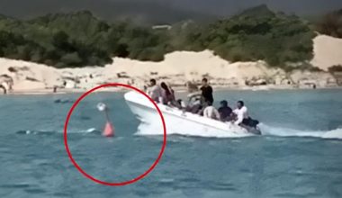 Βίντεο: Ταχύπλοο με Αλγερινούς παράνομους μετανάστες τραυματίζει βαριά 17χρονη κολυμβήτρια
