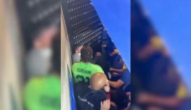 Χάος στη Λιόν μετά το ματς με τη Φενέρμπαχτσε – Επεισόδια και σύρραξη στη φυσούνα (βίντεο)