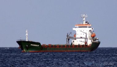 Μαύρη Θάλασσα: Βυθίστηκε εμπορικό πλοίο στην ΑΟΖ της Ρουμανίας