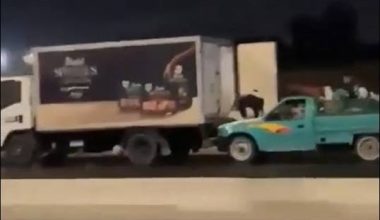 Κλοπή αλά Fast and Furious στην Αίγυπτο – Πήραν 105 κιλά κατεψυγμένου κοτόπουλου από εν κινήσει φορτηγό (βίντεο)