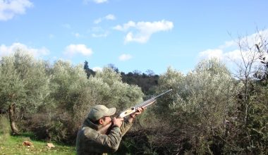Μεθυσμένος 31χρονος Αλβανός στην Κρήτη γύρισε από το κυνήγι και τραυμάτισε έναν 54χρονο φίλο του