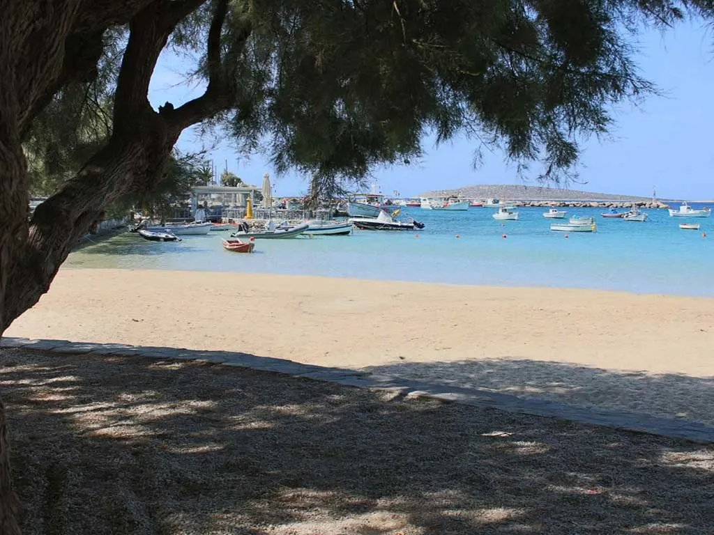 Τραγωδία στην Πάρο: 66χρονη κολυμπούσε στην Αλυκή και πνίγηκε έχοντας χάσει νωρίτερα τις αισθήσεις της