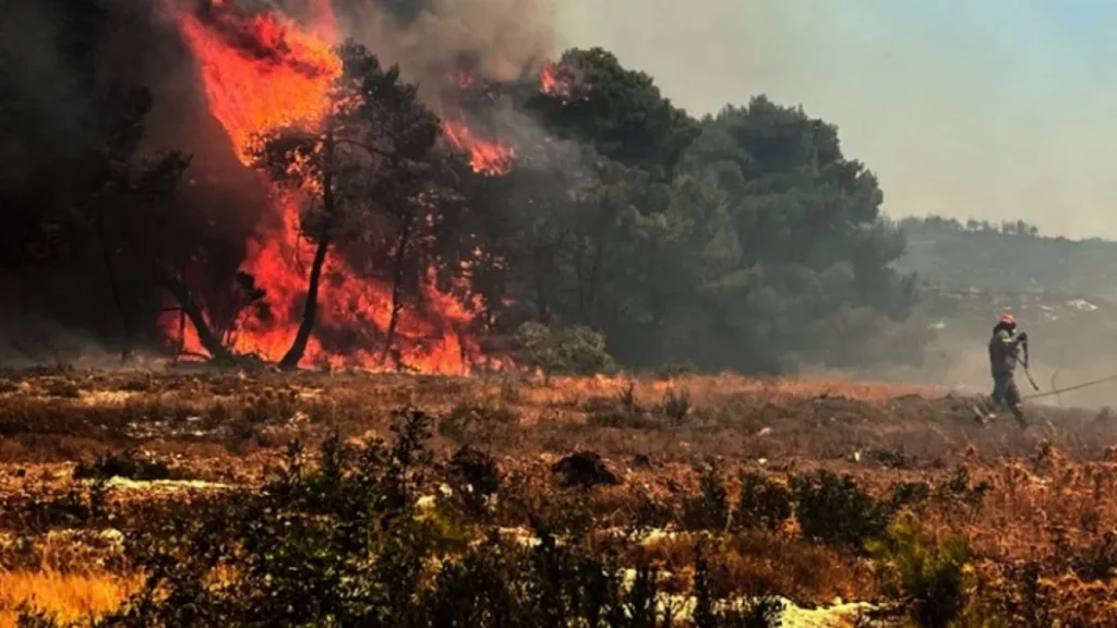 Μεσσηνία: Δεύτερη φορά μέσα σε λίγες μέρες συνελήφθη 60χρονος για εμπρησμό από πρόθεση