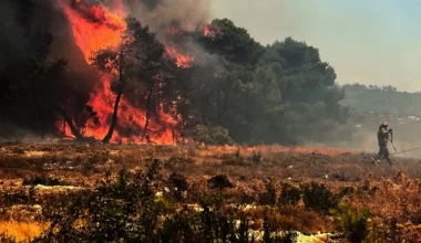 Μεσσηνία: Δεύτερη φορά μέσα σε λίγες μέρες συνελήφθη 60χρονος για εμπρησμό από πρόθεση