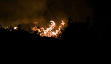 Μαίνεται ανεξέλεγκτη η φωτιά στην Κόνιτσα – Η πυροσβεστική σε θέσεις για να μην φτάσει στην Μονή Στομίου
