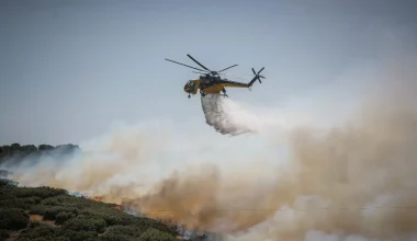 Εύβοια: Mεγάλη φωτιά στην Κάρυστο – Προειδοποιητικά μηνύματα για την εκκένωση δύο περιοχών (βίντεο)
