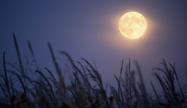 Σεπτέμβριος 2026: Πότε θα εμφανιστεί στον ουρανό το «Φεγγάρι της Συγκομιδής»