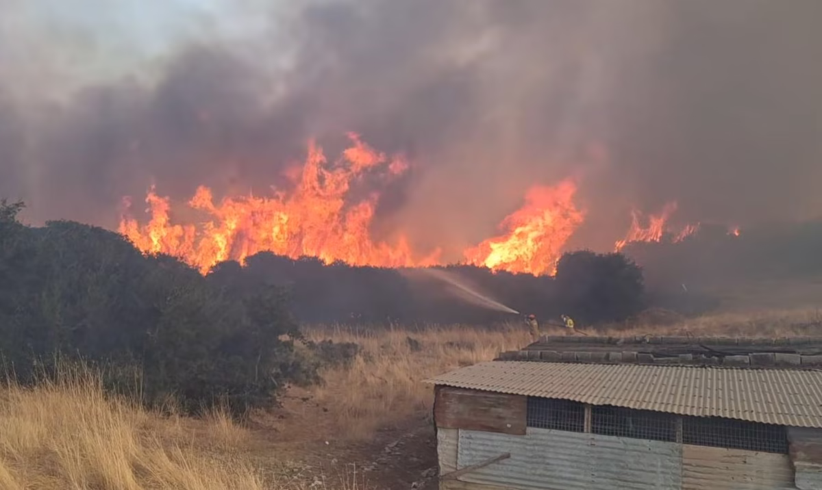 Θήβα: Από εργασίες καθαρισμού με καταστροφέα σε φωτοβολταϊκό πάρκο ξεκίνησε η πυρκαγιά – Δύο συλλήψεις