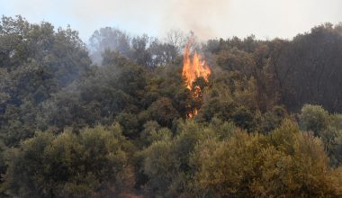 Συνελήφθη 38χρονη για την πυρκαγιά στην Σαρωνίδα