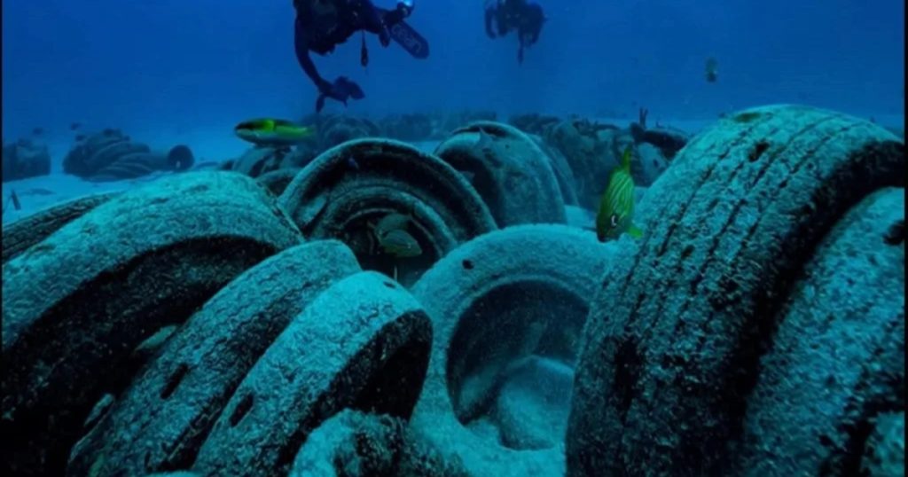Πέταξαν παλιά λάστιχα σε κανάλια και έγινε κάτι απρόσμενο – Τα ψάρια αυξήθηκαν 20 φορές