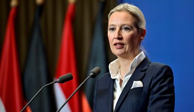 Ανένδοτη η Άλις Βάιντελ: «Σε περίπτωση που το  AfD αναλάβει την εξουσία στην Γερμανία τότε δημοψήφισμα για  DEXIT»