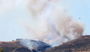 Φωτιά σε εξέλιξη στις Αφίδνες – Μεγάλη κινητοποίηση της Πυροσβεστικής